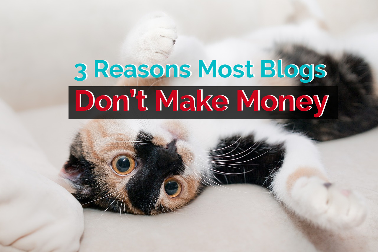 3 Reasons Most Blogs Don T Make Money And Ways Your Blog Can - 