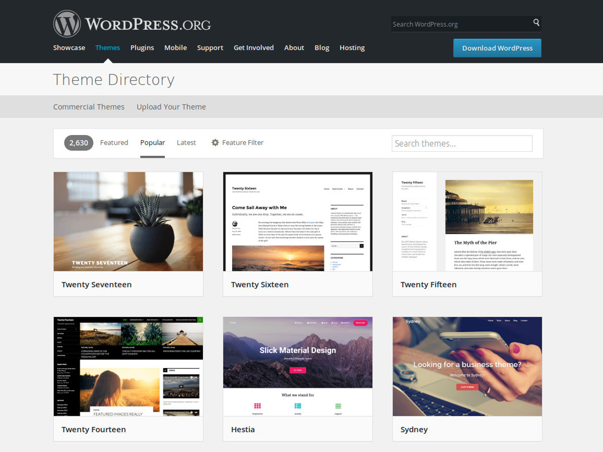 How to Start WordPress Theme Designing?
